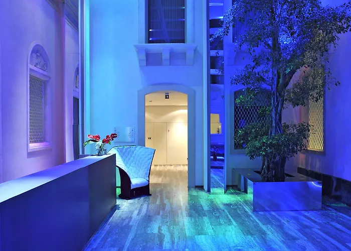 House Катания